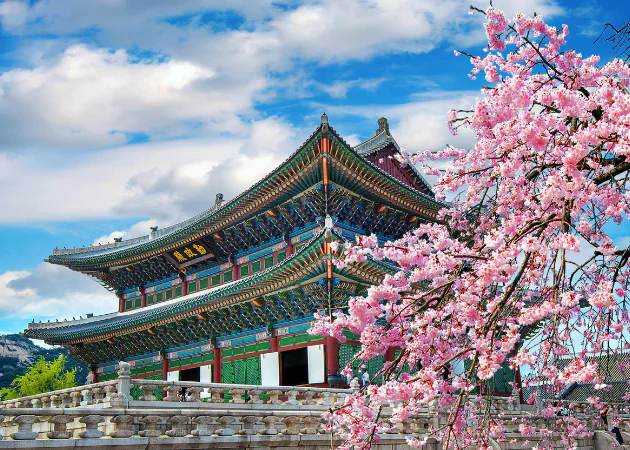 Descubre Corea